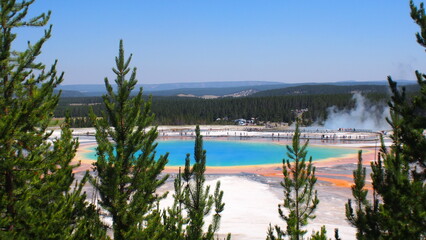 イエローストーン