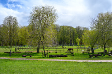 Photographs captured in (Saint-Cyr-L'École, France) on Monday 1 April 2024 by Florent...