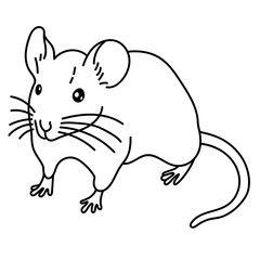 mouse