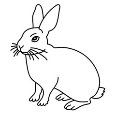 rabbit