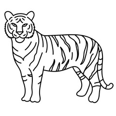 tiger