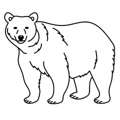 bear