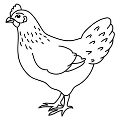 chicken
