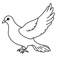 dove