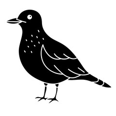 bird