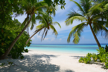 Fototapeta na wymiar Sunny beach in the Maldives. Palm trees, white sand, ocean. Landscape view from the shore.