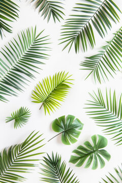 A close up of green leaves with a white background
