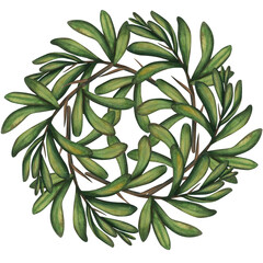 Watercolor frame with an image of an argan nut branch on a white background. A hand-drawn sketch of an argan tree, an illustration. Argan oil, body and hair care, cosmetology, food, vitamins. Template