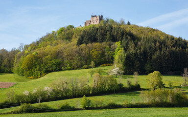 Blick auf Burg Hohengeroldseck bei Gemeinde Seelbach im Ortenaukreis (Schwarzwald) - obrazy, fototapety, plakaty