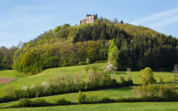 Blick auf Burg Hohengeroldseck bei Gemeinde Seelbach im Ortenaukreis (Schwarzwald)