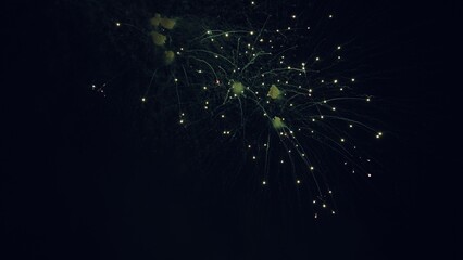 Beautiful multi colored fireworks in night sky. Colored night explosions in black sky. New years...