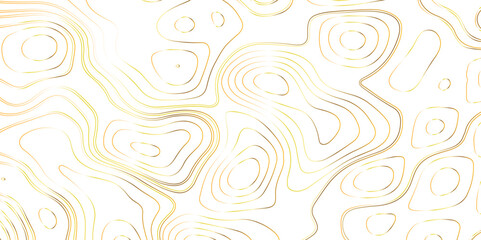 golden topographic line contour map background, geographic grid map