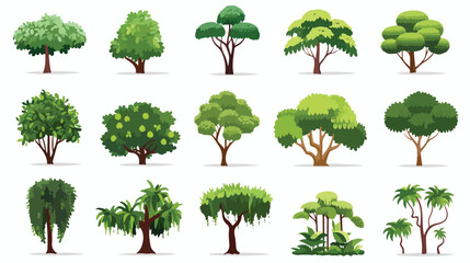 Trees isolated on white background tropical trees i