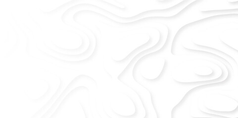 Fototapeta premium White abstract paper cut template background. wave overlapping with shadow modern concept, space for text or message web and book design