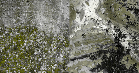 Rough Painted Textured Surface. Concrete Wall Texture. Dark Gray, Green and Black Concrete Background with White Irregular Spots and Stains, Green Moss.Wall with Visible Irregular Brush Marks.