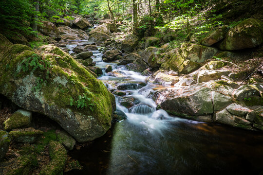 Ilsetal/Ilse Valley in the Harz Mountains, Germany