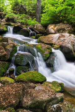 Ilsetal/Ilse Valley in the Harz Mountains, Germany