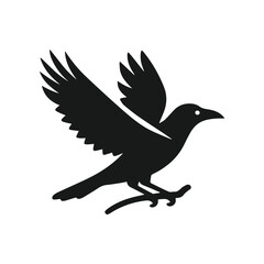 crow bird silhouette black and white in white bakground