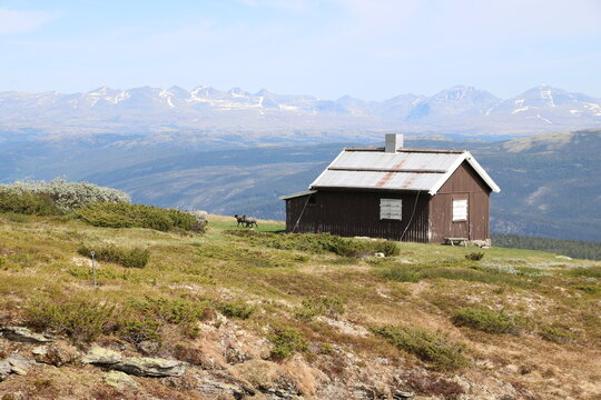 Cabin by the foot of Saukampen with goats grassing around and view of Rondane in the backgorund
