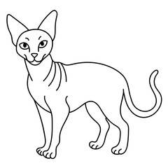 cornish rex