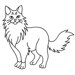 norwegian forest