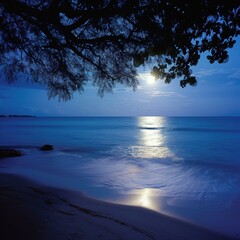 Fototapeta na wymiar Moonlight Romantic Environment at the Beach