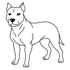pit bull