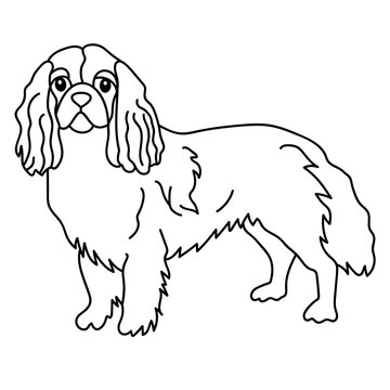 recommend clip art: cavalier king charles spaniel