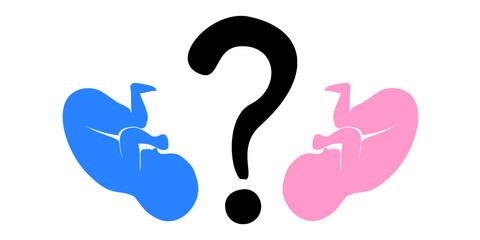 Who have a boy or a girl.  Heart question mark isolated on White background. Vector illustration