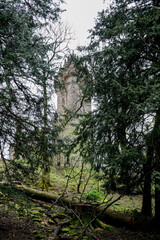 Wallace Monument in Stirling Scotland View Through Trees on an Overcast Afternoon - 784557900