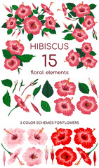 Fifteen floral elements to assemble an indoor hibiscus. Hand drawn parts of a flower