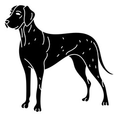 great dane