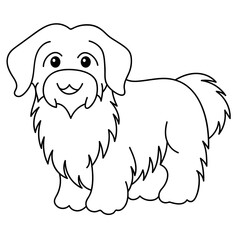 havanese
