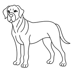 mastiff