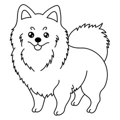 pomeranian