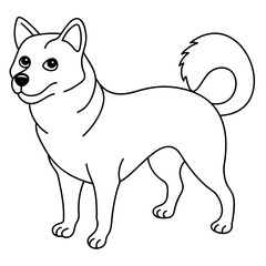 shiba inu