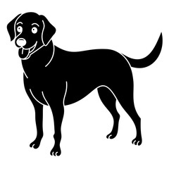 labrador retriever dog