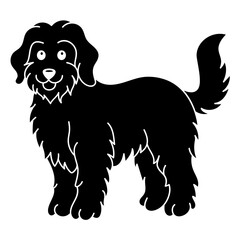 portuguese water dog
