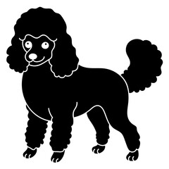 poodle