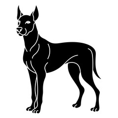 great dane