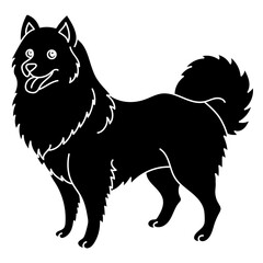 samoyed