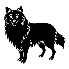 shetland sheepdog