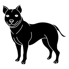 staffordshire bull