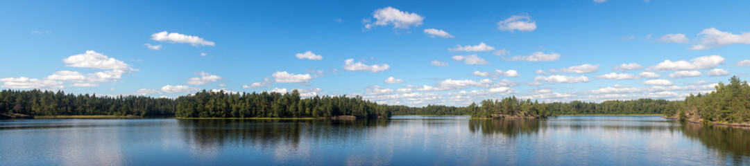 Fototapeta na wymiar islands on a forest lake in summer
