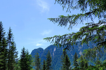 Scenic view green Alpine mountains with rugged ravines, mountain range in Europe, challenging...