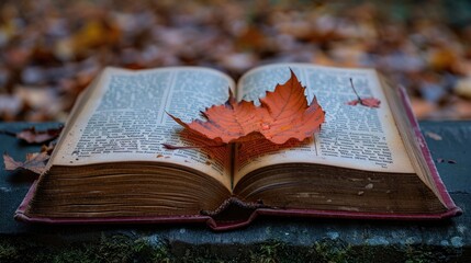 Naklejka na ściany i meble Autumnal Wisdom: Open Vintage Book with Fallen Maple Leaf