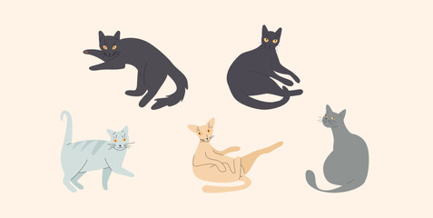 Cat vector illustration set. Simple group of shapes of hand drawn animals. Poses of russian blue, british shorthair, bengal, siamese, sphynx and burmese. Friendly cute pet illustration.