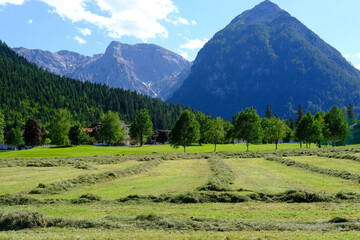 Beautiful Alpine landscape with green mountains and valley, mountain range in Europe, challenging...