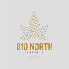 Modern Geometric Cannabis Leaves Logo for 810 North Cannabis - Bold Golden Design