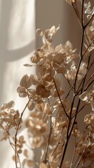 Close Up of a Plant With a Window in the Background